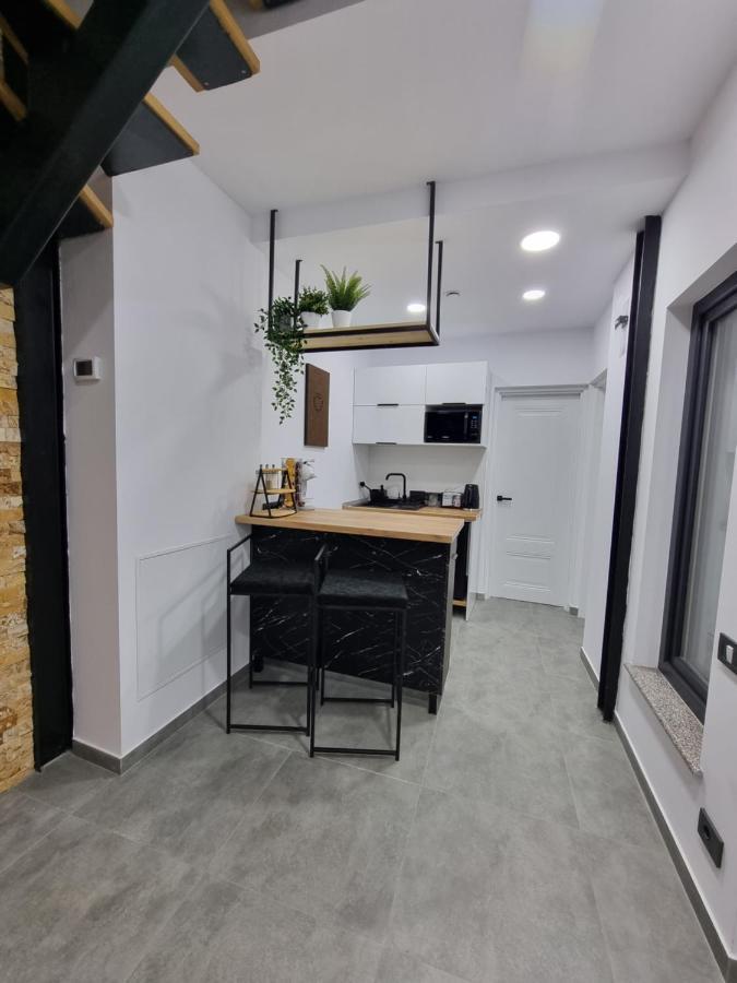 Casa Chiper - Apartament Parter Braşov Eksteriør billede